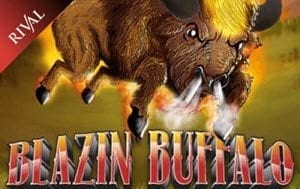 Blazin Buffalo