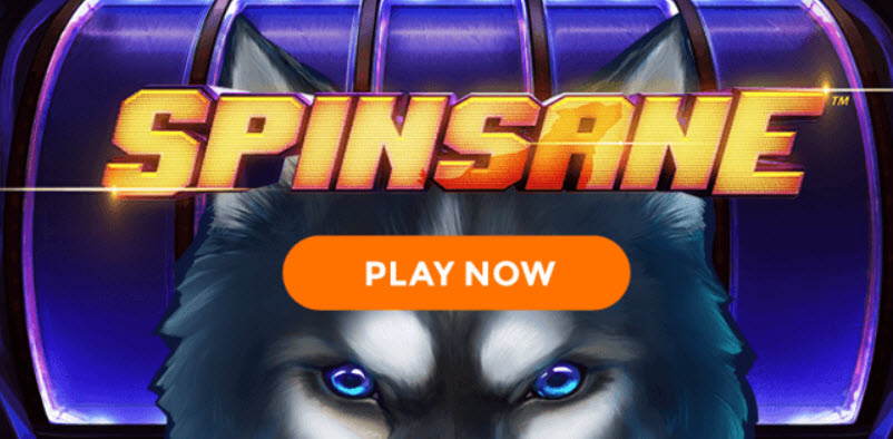 SPINSANE ONLINE SLOT