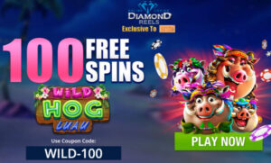 Wild Hog Luau