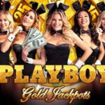 Playboy Gold Jackpots Slot