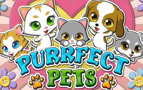 Purrfect Pets