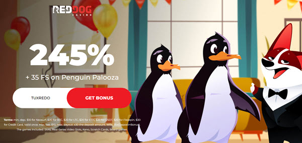 Penguin Palooza Slot