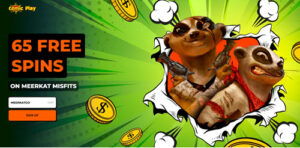 meerkat misfit slot