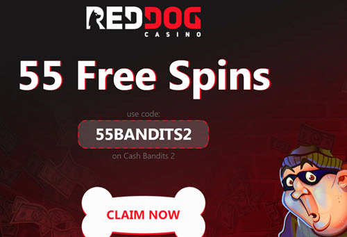 Red Dog Casino Bonus Codes