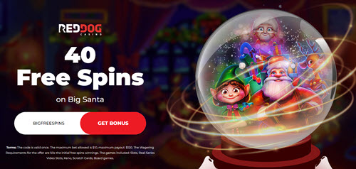 Red Dog Casino No Deposit Bonus Codes 2024