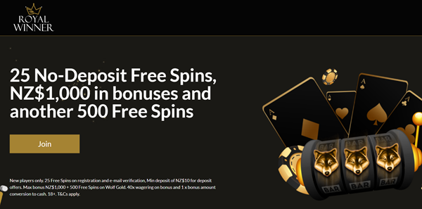 winner casino  free spins