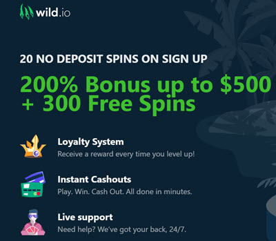 wild casino free spins codes